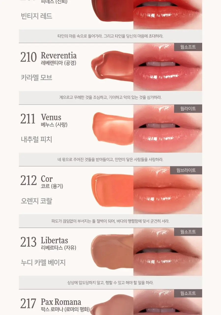 [리퀴드치크 본품증정] 딘토 블러글로이 립틴트 36종 (단품/기획) 상세페이지 33